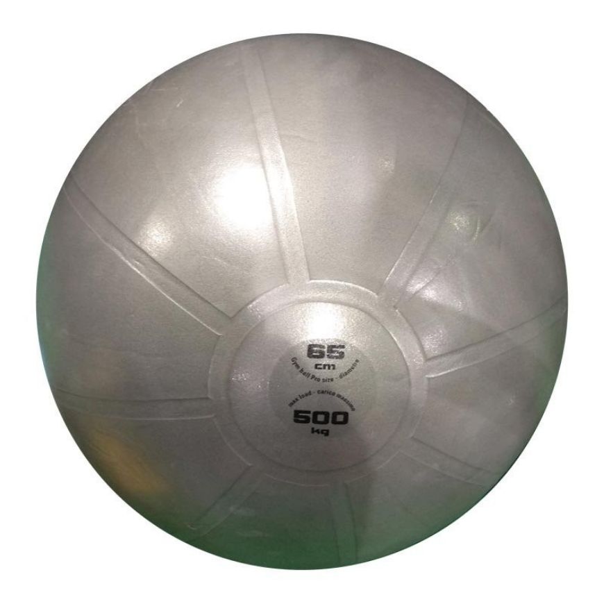 Slika Lopta za gimnastiku Pro Toorx 65 cm, siva