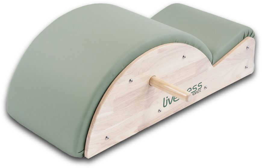 Slika LIVENESS SPINE CORRECTOR PTX-1700G